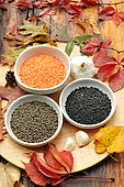 Different varieties of lentils, Lens culinaris, Coral lentils, Beluga lentils or lentil caviar, Green lentils, and Garlic pods (Allium sativum)