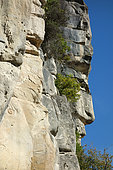 Sandstones of Annot, Alpes de Haute Provence, France.