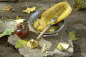 Spaghetti squash (Cucurbita pepo) and seeds, in preparation for cooking, and Tomato (Solanum lycopersicum)