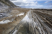 Zumaia Flysch, Basque Country, Spain