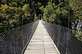 Footbridge at Holtzarte Gorge, Basque Country, France