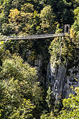 Footbridge at Holtzarte Gorge, Basque Country, France
