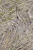 Crumpling in the Helminthoid Flysch, Ubaye Valley, Alpes de Haute Provence, France