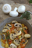 Button mushrooms (Agaricus bisporus) cooked with tomatoes