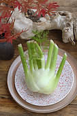 Fennel in a plate