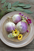 Navets (Brassica rapa) dans une assiette, légumes racines et fleurs de Souci (Calendula officinalis)