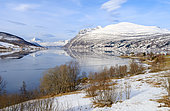 Landscape at Lavangen Fjord during Winter. Europe, northern europe, Norway