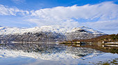 Landscape at Salangen Fjord near Loksebotn in northern Norway during winter. Europe, northern europe, Norway