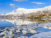 Landscape at Salangen Fjord near Loksebotn in northern Norway during winter, in the background the island Andorja. Europe, northern europe, Norway