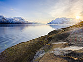 Landscape at Salangen Fjord near Loksebotn in northern Norway during winter. Europe, northern europe, Norway