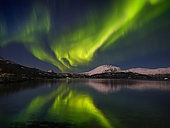 Northern lights over the Salangen Fjord near Sjovegan in northern Norway during winter. Europe, northern europe, Norway