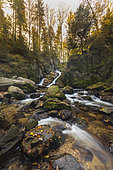 The small Tendon waterfall in autumn, Vosges, France.