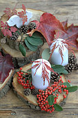 Candles and nature decoration, autumn leaves, pine cones, Cotoneaster berries