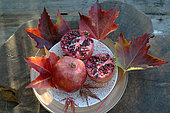 Pomegranates (Punica granatum), fruits (seeds, arils, antioxidants) in a plate and autumn leaves
