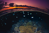 Sunset on the Reef. The sun sets on the other side of Mayotte as the reef fish in the S-shaped channel seek shelter for the night.