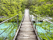 Footbridge over the Soca River - Isonzo, Volarje, Slovenia