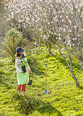 Woman planting shrubs in an orchard in spring.