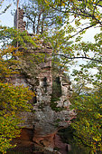 Hohenfels Castle, ruined medieval castle on a rocky outcrop, Vosges du Nord Regional Nature Park, France