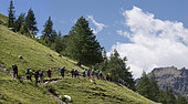 Group of mountain hikers, Massif des Ecrins, Serre-Chevalier, Alpes, France