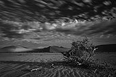 Desert Landscape at Sossusvlei, Namib-Naukluft National ParK Park and National Reserve, Namibia