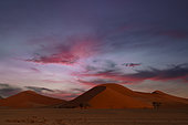 Sand dune at dusk, Namib-Naukluft National ParK Park and National Reserve, Sossusvlei, Namibia