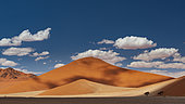 Desert landscape under a cloudy sky, Dead Vlei, Namib-Naukluft, Namibia