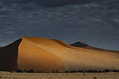 Desert Landscape at Sossusvlei, Namib-Naukluft National ParK Park and National Reserve, Namibia