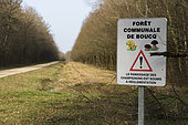 Sign indicating that mushroom picking is regulated, Boucq, Forêt de la Reine, Lorraine, France