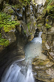 Gorges de Ballandaz, superb gorges dug by the Doron de Pralognan upstream from Bozel, Vanoise, Savoie, Alpes, France