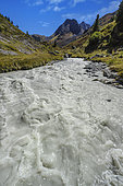 The milky waters of the Doron des Allues in Vanoise, Torrent emissary of the Gebroulaz glacier, Plan de Tueda nature reserve, Vallée des Allues, Savoie, Alpes, France