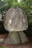 Mushroom-shaped rock