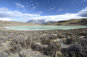 Laguna Amarga, Torres del Paine National Park, Magallanes Region and Chilean Antarctica, Chile