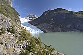 Serrano Glacier, Ultima Esperanza Fjord, Magallanes Region and Chilean Antarctica, Chile