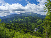 Le mont Oetscher (1893m), parc naturel Oetscher-Tormaeuer, Alpes d'Ybbstal, Autriche