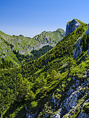View towards Mt. Grosse Klammspitz and Mt. Hasentalkopf. Natur Park Ammergau Alps (Ammergauer Alpen) in the northern limestone Alps of upper Bavaria. Europe, Germany, Bavaria