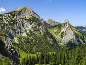 View towards Mt. Hochplatte and Mt. Geiselstein. Natur Park Ammergau Alps (Ammergauer Alpen) in the northern limestone Alps of upper Bavaria. Europe, Germany, Bavaria