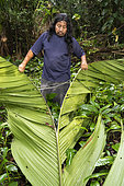 Nicaragua, San Juan de Nicaragua, 2022-02-16. Rama man with traditional long hair searching for a palm used to make the roof of the Rama houses built along the Rio Indio river.