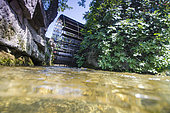 Ppaddle wheel, La Sorgue, Isle sur Sorgue and downstream, Provence, France