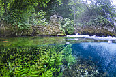 Spring of the Sorgue, Vauclusian spring, Fontaine de Vaucluse, Provence, France
