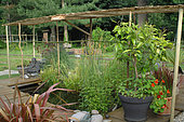 Pond in a garden with aquatic plants and a bamboo structure for shade, flowering nasturtiums and a potted lemon tree