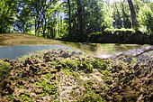 River Vers, Causse du Quercy Regional Nature Park, Lot, France