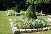 Small flowers and boxwood (Buxus sp) trimmed in squares marked with paving stones, Jardin du Bois Richeux, Eure et Loir, France