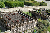 Oak leaf salads in raised plessis squares, Medieval Garden of Bois Richeux, Eure et Loir, France