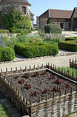Oak leaf salads in raised plessis squares, Medieval Garden of Bois Richeux, Eure et Loir, France