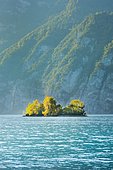 Small chive island in the turquoise waters of Lake Walen, Canton St. Gallen, Switzerland, Europe