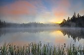 Sunrise with wafts of mist over the mirror-smooth moorland lake Étang de la Gruère in the canton of Jura, Switzerland, Europe