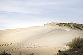 Dunes of the Slack in winter, Opal Coast, Pas de Calais, France