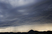 Period of violent hailstorms which hit the Auvergne region in particular at the beginning of June 2022. These storms were responsible for the death of many animals, including thousands of birds, particularly at the edge of the department in Vichy in the Allier, Auvergne, France