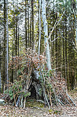 Hut made from fir and beech branches on the Allée des Géants with the trunk of a very old beech tree as support. Does this hut belong to a Sylvain? You know, those legendary little beings who guard the forest? Also known as "the witches' path", this alley is made up of old, twisted beech trees over four centuries old. These trees have undergone pleaching, which in the Montagne Bourbonnaise is a traditional technique that consists of braiding the branches of trees together and letting them grow in a chosen direction (for example: vertically, horizontally or inclined). In this way, it was possible to delimit an alley, a path or even a piece of land... and in some cases, even to obtain a defensive role. These alleys had another advantage: they protected travellers from the sun in summer and from snowdrifts in winter. Saint-Nicolas-des-Biefs, Allier, France