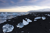 Diamond Beach, pieces of ice on the black sand, Jökulsárlón Glacial lake, Western Region, Iceland